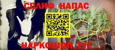 дмт Будённовск