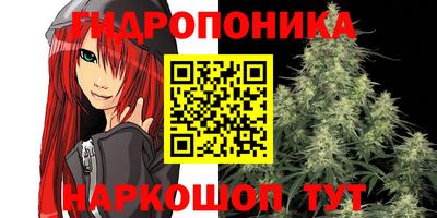 дмт Будённовск