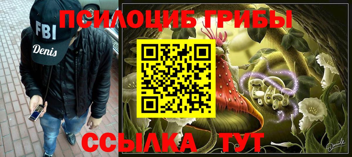 Галлюциногенные грибы MAGIC MUSHROOMS  Псилоцибиновые грибы Magic Shrooms  Шатура  Вход с VPN 