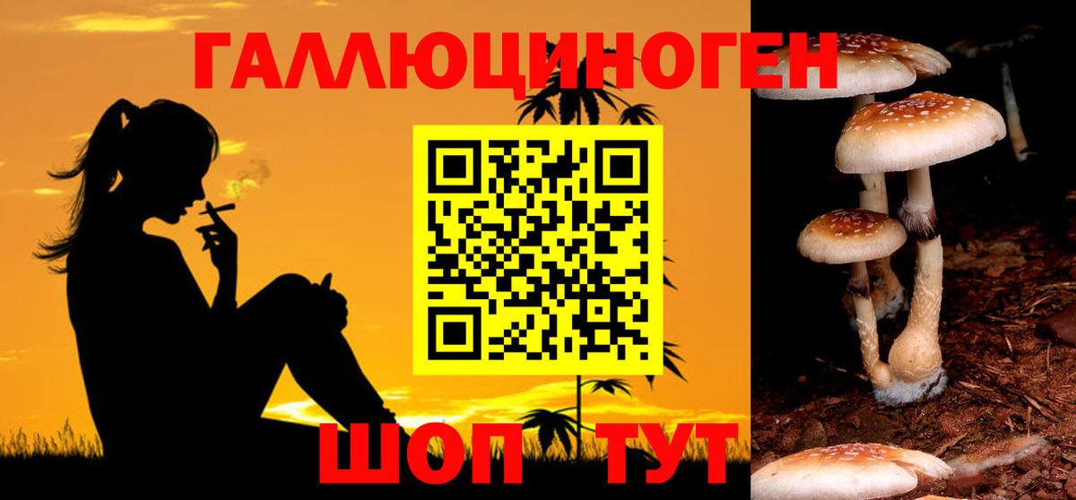 Галлюциногенные грибы GOLDEN TEACHER Шатура